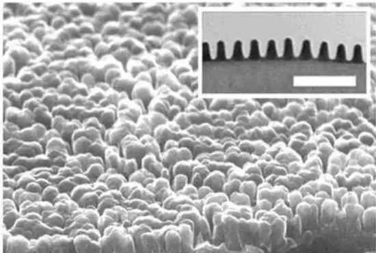 ϣ���׽̙Cȫ��������ѣ����ȫ�����o��ͯҕ��