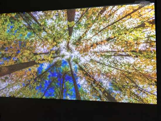 �׉��cĻ��Ͷ�Ů���yԇ����ʲô�^�e���ķNЧ������