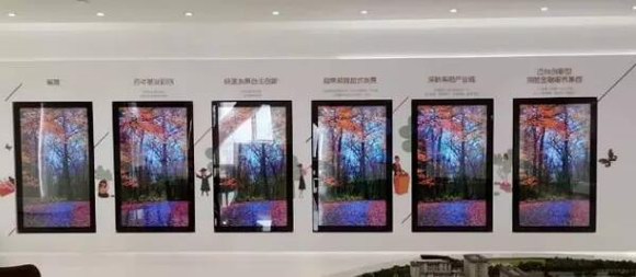 PHILIPS���@��������̩���w����� ׌ÿһƽ�װl�]����rֵ