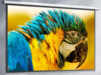 �O�׹���Ļ�������Q�� ȫ���˽���֪����ʲô�ǌ��I