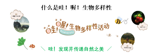 �����e�С��ۣ�ร���������ԔzӰ��ِ������Ӱ��ӛ���Ȼ��Wow˲�g