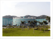 ͶӰ�C(j��)������