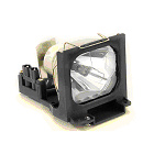 ����ҕ�lչ�_(t��i)������