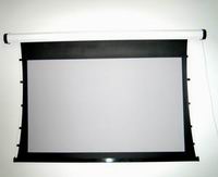 ���KͶӰĻ������