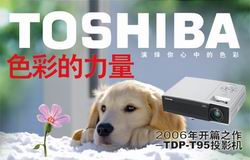 �ؑcͶӰ�C������