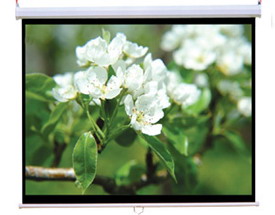 ͶӰ�C������